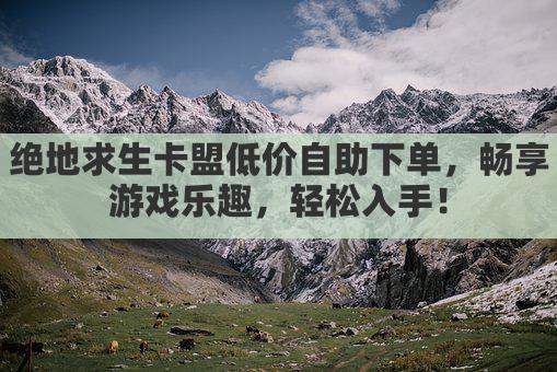 绝地求生卡盟低价自助下单，畅享游戏乐趣，轻松入手！