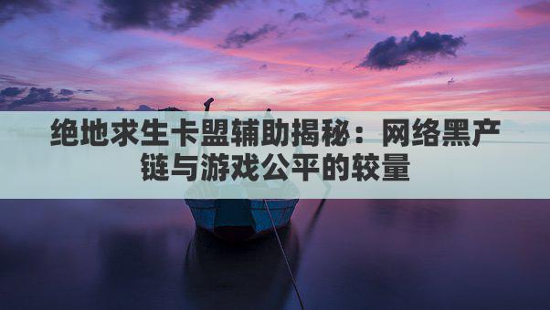 绝地求生卡盟辅助揭秘：网络黑产链与游戏公平的较量