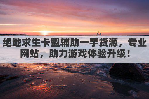 绝地求生卡盟辅助一手货源，专业网站，助力游戏体验升级！