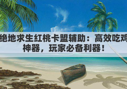 绝地求生红桃卡盟辅助：高效吃鸡神器，玩家必备利器！