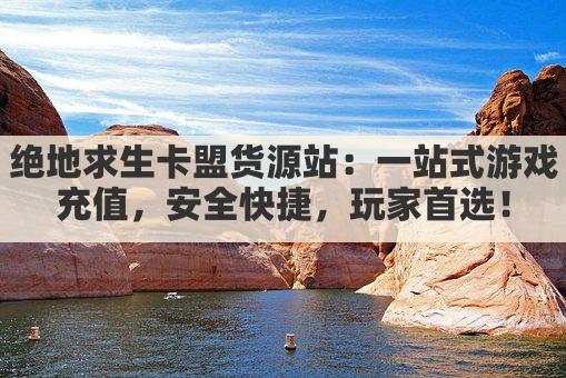 绝地求生卡盟货源站：一站式游戏充值，安全快捷，玩家首选！