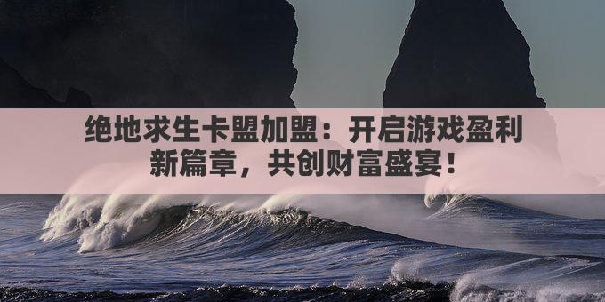 绝地求生卡盟加盟：开启游戏盈利新篇章，共创财富盛宴！
