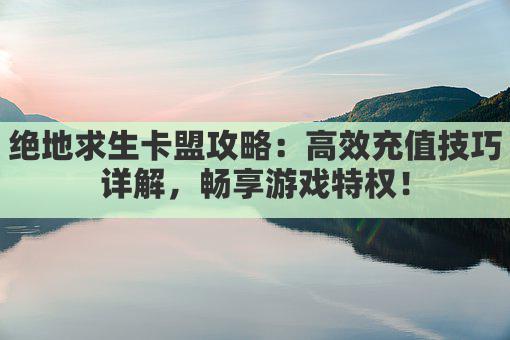 绝地求生卡盟攻略：高效充值技巧详解，畅享游戏特权！