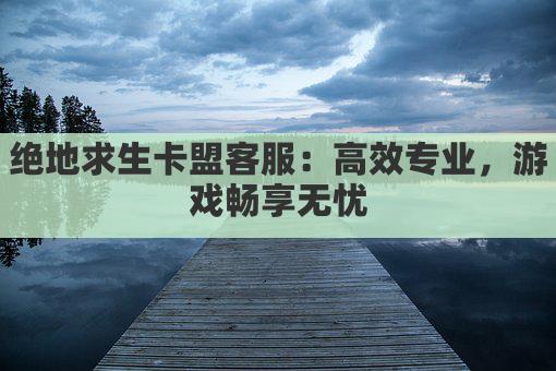 绝地求生卡盟客服：高效专业，游戏畅享无忧