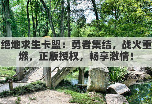 绝地求生卡盟：勇者集结，战火重燃，正版授权，畅享激情！
