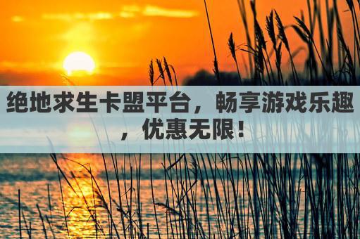 绝地求生卡盟平台,畅享游戏乐趣,优惠无限!