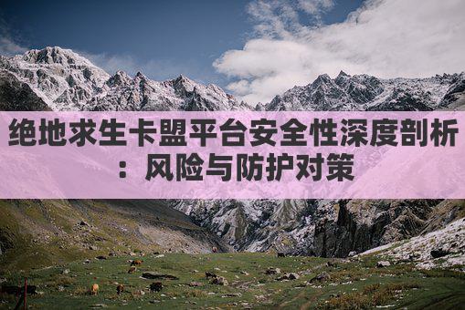 绝地求生卡盟平台安全性深度剖析：风险与防护对策