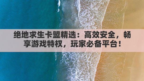 绝地求生卡盟精选：高效安全，畅享游戏特权，玩家必备平台！