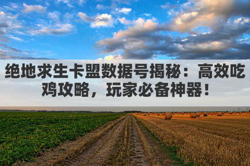 绝地求生卡盟数据号揭秘：高效吃鸡攻略，玩家必备神器！