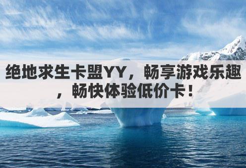 绝地求生卡盟YY,畅享游戏乐趣,畅快体验低价卡!