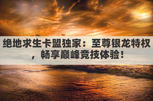 绝地求生卡盟独家：至尊银龙特权，畅享巅峰竞技体验！