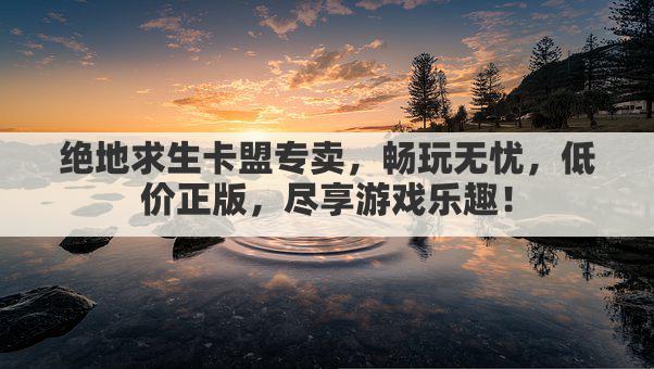 绝地求生卡盟专卖,畅玩无忧,低价正版,尽享游戏乐趣!