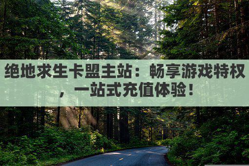 绝地求生卡盟主站：畅享游戏特权，一站式充值体验！