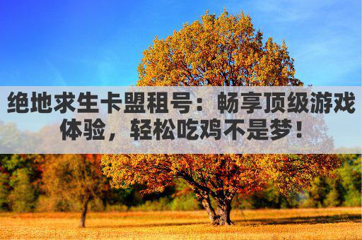 绝地求生卡盟租号：畅享顶级游戏体验，轻松吃鸡不是梦！