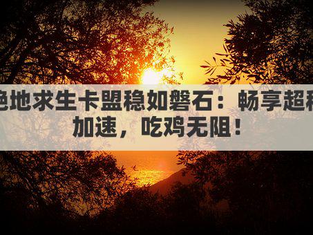 绝地求生卡盟稳如磐石：畅享超稳加速，吃鸡无阻！