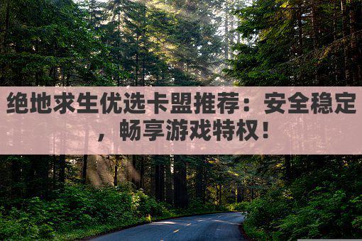 绝地求生优选卡盟推荐：安全稳定，畅享游戏特权！