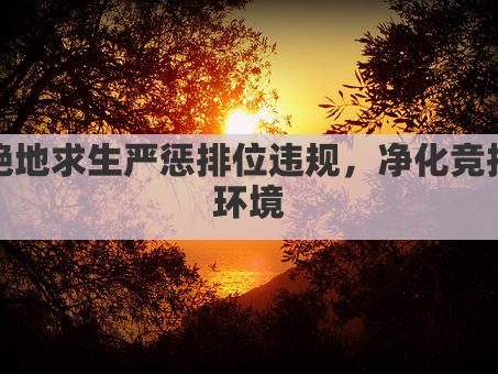 绝地求生严惩排位违规，净化竞技环境