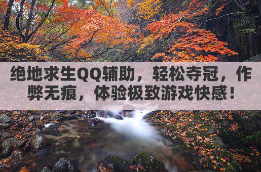 绝地求生QQ辅助揭秘：作弊神器还是禁赛利器？