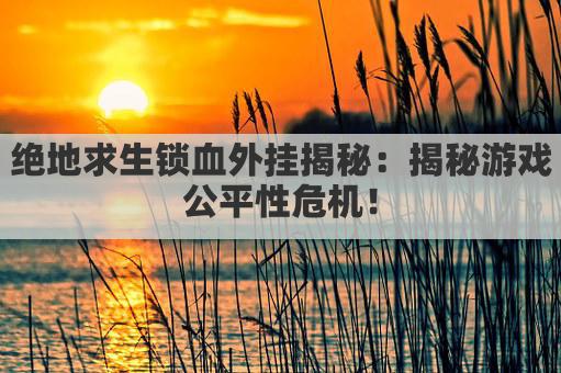 绝地求生锁血外挂揭秘：揭秘游戏公平性危机！