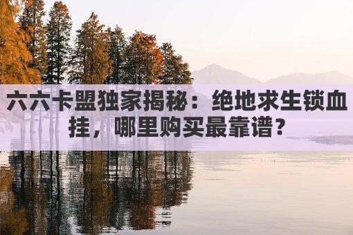 六六卡盟独家揭秘：绝地求生锁血挂，哪里购买最靠谱？