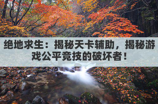 绝地求生:揭秘天卡辅助,揭秘游戏公平竞技的破坏者!