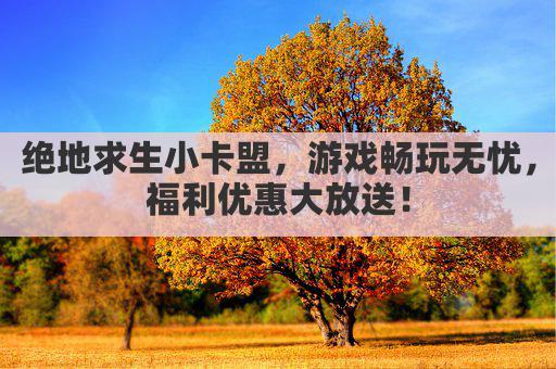 绝地求生小卡盟，游戏畅玩无忧，福利优惠大放送！
