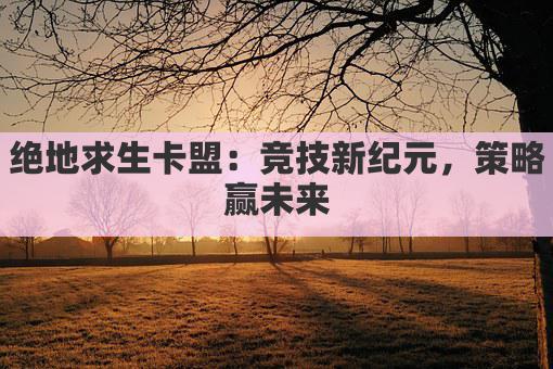 绝地求生卡盟：竞技新纪元，策略赢未来