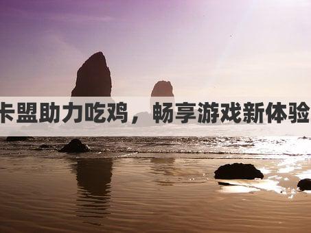 卡盟助力吃鸡，畅享游戏新体验！