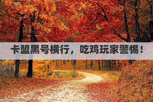 卡盟黑号横行，吃鸡玩家警惕！