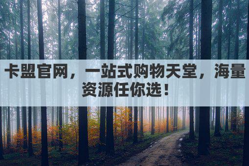 卡盟官网，一站式购物天堂，海量资源任你选！