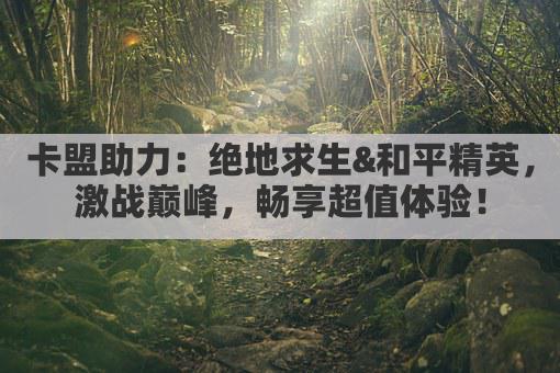 卡盟助力：绝地求生&和平精英，激战巅峰，畅享超值体验！