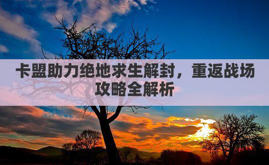 卡盟助力绝地求生解封，重返战场攻略全解析