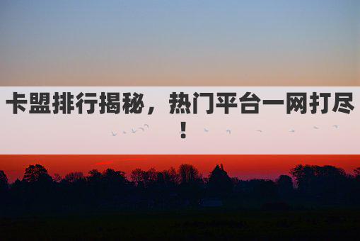 卡盟排行揭秘，热门平台一网打尽！