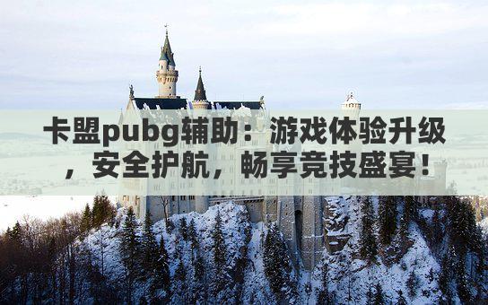 卡盟pubg辅助：游戏体验升级，安全护航，畅享竞技盛宴！