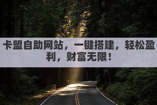 卡盟自助网站，一键搭建，轻松盈利，财富无限！