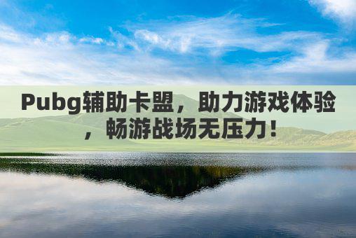 Pubg辅助卡盟,助力游戏体验,畅游战场无压力!