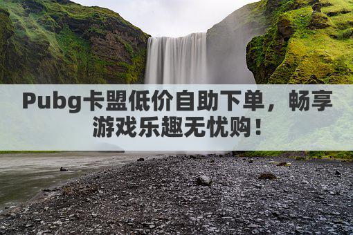 Pubg卡盟低价自助下单，畅享游戏乐趣无忧购！