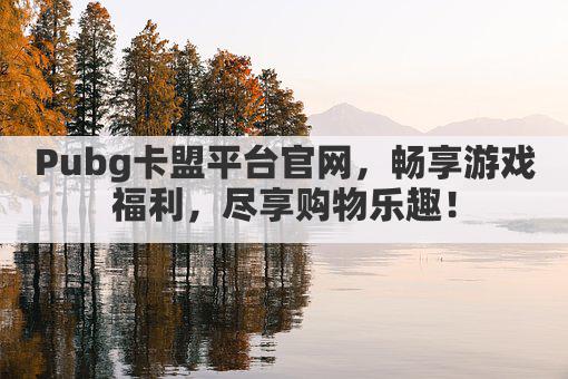 畅享《绝地求生》福利，pubg卡盟官网，优惠卡密一键购，畅玩无忧！