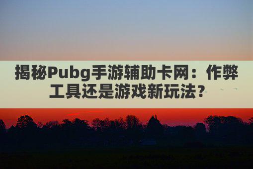 揭秘Pubg手游辅助卡网：作弊工具还是游戏新玩法？