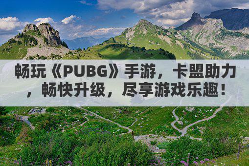 畅玩《PUBG》手游,卡盟助力,畅快升级,尽享游戏乐趣!