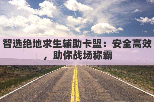智选绝地求生辅助卡盟：安全高效，助你战场称霸