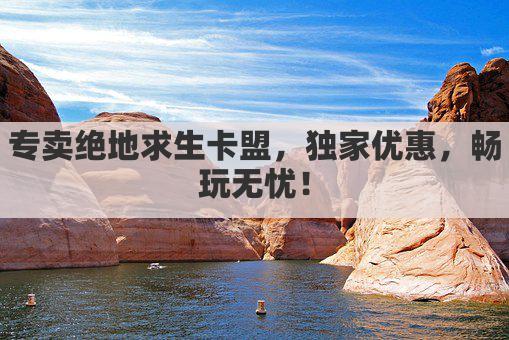 专卖绝地求生卡盟，独家优惠，畅玩无忧！