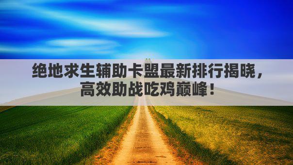 绝地求生辅助卡盟最新排行揭晓，高效助战吃鸡巅峰！