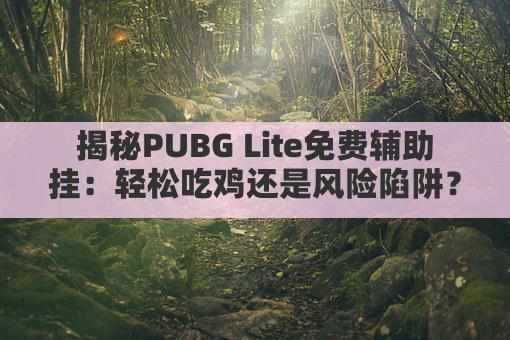 揭秘PUBG Lite免费辅助挂：轻松吃鸡还是风险陷阱？