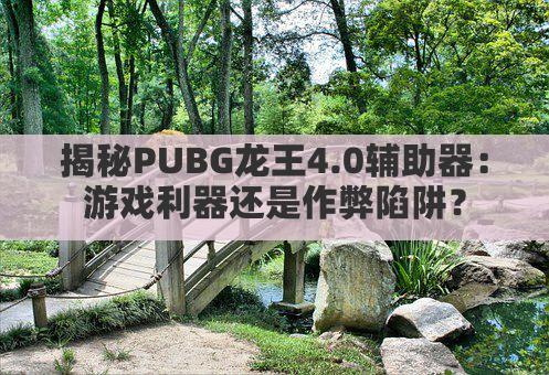 揭秘PUBG龙王4.0辅助器:游戏利器还是作弊陷阱?