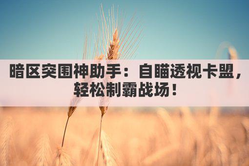 暗区突围神助手:自瞄透视卡盟,轻松制霸战场!