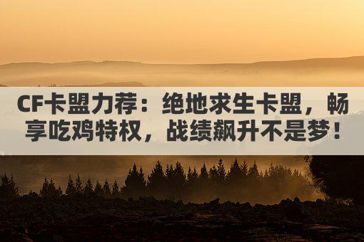 CF卡盟力荐：绝地求生卡盟，畅享吃鸡特权，战绩飙升不是梦！