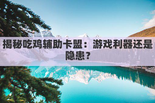 揭秘吃鸡辅助卡盟:游戏利器还是隐患?