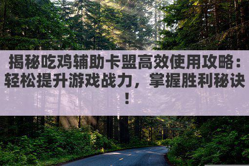 揭秘吃鸡辅助卡盟高效使用攻略:轻松提升游戏战力,掌握胜利秘诀!