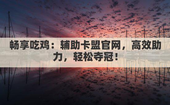 畅享吃鸡:辅助卡盟官网,高效助力,轻松夺冠!